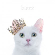 20170503.1345.01 Aimer - Best Selection ''blanc'' cover 3.jpg