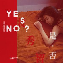 20170510.1239.05 Suzy - Yes No cover.jpg