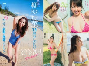 ZFX_yanagi012.jpg