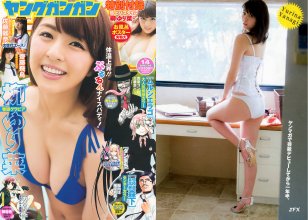 ZFX_yanagi019.jpg