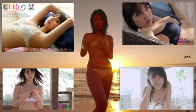 ZFX_yanagi067.jpg