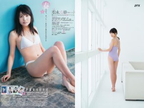 ZFX_arimats016.jpg