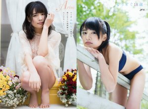 ZFX_arimats018.jpg