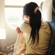 20170817.0639.09 Curumi Chronicle - Curumi Chronicle cover.jpg