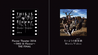 20170828.0042.2 Flower - Taiyou no Elegy (Type A) (DVD) (JPOP.ru) menu 1.png 20170828.0042.2 Flower - Taiyou no Elegy (Type A) (DVD) (JPOP.ru) menu 1.png