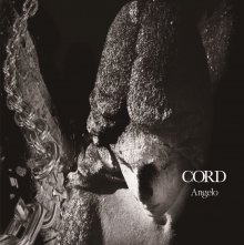 20170830.0340.05 Angelo - Cord cover.jpg