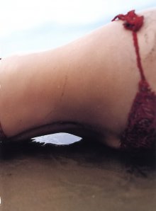 074.jpg