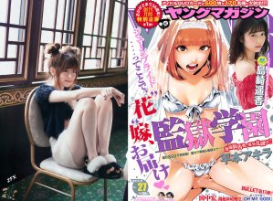 ZFX_paruru060.jpg