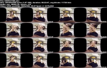 DSVR-016B.jpeg