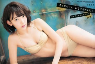ZFX_sakumi095.jpg