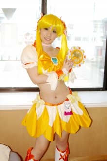 sunsha001.jpg