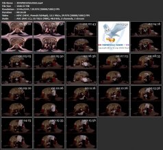 3DSVR0325A.H265.mp4.jpg