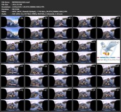 NHVR024A.H265.mp4.jpg
