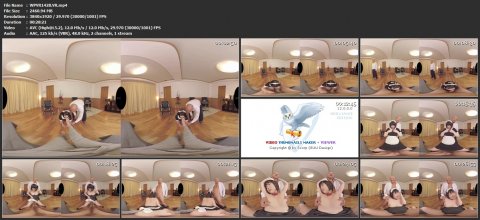 WPVR142B.VR.mp4.jpg WPVR142B.VR.mp4.jpg