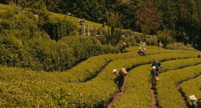 The.Magnificent.Nine.2016.1080p.BluRay.DD5.1.x264 EngSub.mkv_snapshot_02.02.49.jpg
