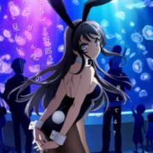 Seishun Buta Yarou wa Bunny Girl Senpai no Yume wo Minai Original Soundtrack.jpg