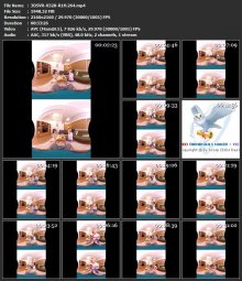 3DSVR-0328-R1H.264.mp4.jpg