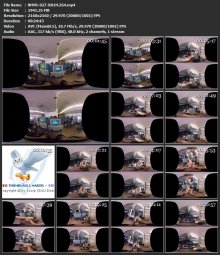 NHVR-027-R01H.264.mp4.jpg