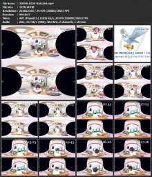 3DSVR-0336-R2H.264.mp4.jpg
