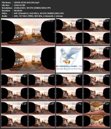 3DSVR-0330-R1H.264.mp4.jpg