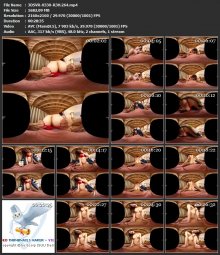 3DSVR-0330-R3H.264.mp4.jpg