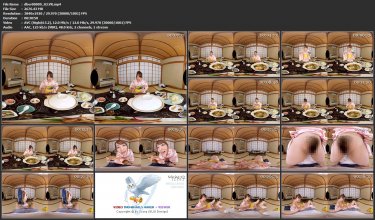 dbvr00009_03.VR.mp4.jpg