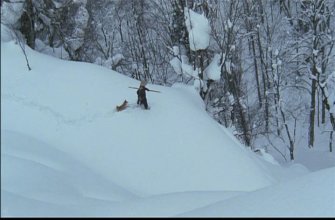 The Old Bear Hunter.mkv_snapshot_01.16.25.jpg