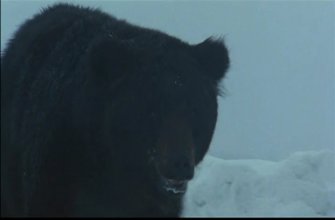 The Old Bear Hunter.mkv_snapshot_01.37.02.jpg