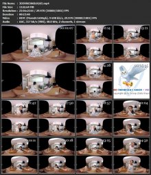 3DSVR0306B.H265.mp4.jpg