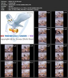 KMVR-527-R3.VR.mp4.jpg