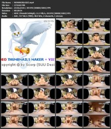 WOW069B.H265.mp4.jpg