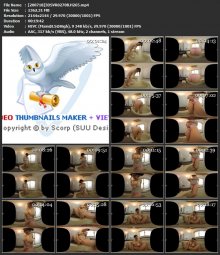 [200718]3DSVR0270B.H265.mp4.jpg