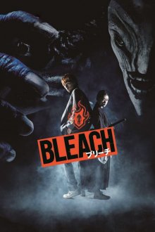 Bleach-1.jpg