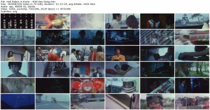 Hell Riders in Kyoto - Wild Sex Gang_thumb.jpg