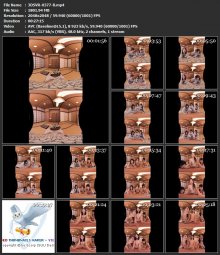 3DSVR-0377-B.mp4.jpg