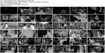 The.Cat.Gambler.1965.1080p.BluRay.DTS.x264_thumb.jpg