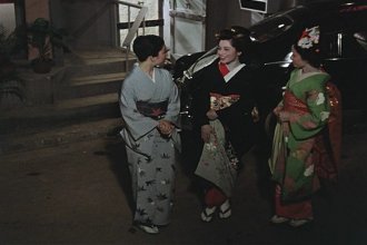 Night Butterflies.mkv_snapshot_00.42.43.jpg