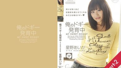 tokyo_hot-cz010_poster.jpg