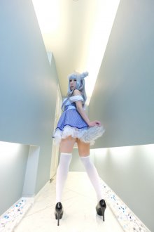 inu-3.jpg