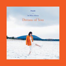 20190219.1718.07 Punch - Dream of You cover.jpg
