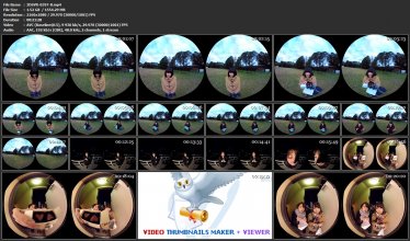 3DSVR-0397-B.mp4.jpg