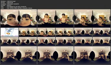 CASP-014-A.mp4.jpg