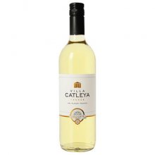 3760200899152-VILLA CATLEYA Sauvignon Blanc.jpg