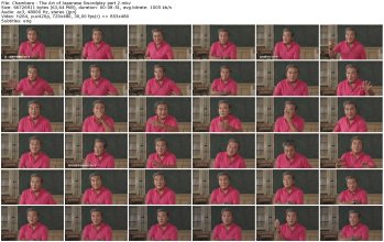 Chambara - The Art of Japanese Swordplay part 2_thumb.jpg Chambara - The Art of Japanese Swordplay part 2_thumb.jpg