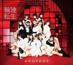 20190605.1102.02 ANGERME - Rinnetenshou ~ANGERME Past, Present & Future~ (FLAC) cover 1.jpg