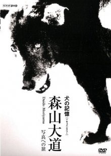 Memories of a Dog-.jpg Memories of a Dog-.jpg