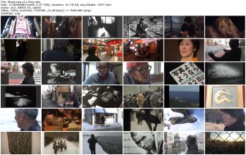 Memories of a Dog_thumb.jpg Memories of a Dog_thumb.jpg