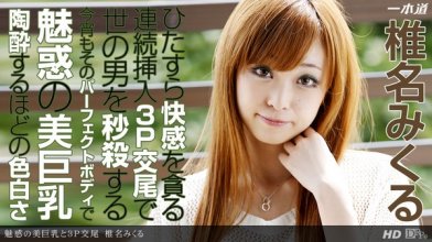 1pondo-122013_718_poster.jpg