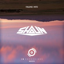 20190617.1739.09 Shaun - Falling Into (FLAC) cover.jpg