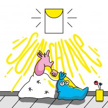 20190610.1429.21 Hoody - Sunshine (FLAC) cover.jpg